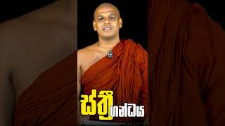 ස්ත්‍රී ගන්ධය GosingaWanaArana VenKebithigolleweAmarathissaThero DharmaDheshana ගෝසිංගවනඅරණ [upl. by Haseena191]