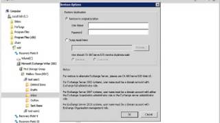 How to Restore an Exchange Object in Arcserve D2D r16 [upl. by Gerrald]