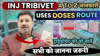 कमाल क्यों है ये Tribivet Injection Veterinary uses in hindi ✌🏻inj tribivet veterinary [upl. by Attaynik]