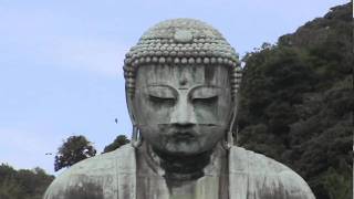 Japans Great Buddha of Kamakura  Kotokuin Daibutsu 高徳院大仏  Japan As It Truly Is [upl. by Xet218]