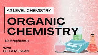 A2 Level Chemistry  Amino Acid Electrophoresis [upl. by Innavoeg]