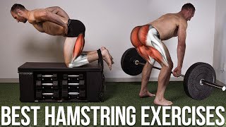 The BEST Hamstring Exercises For Strength amp Size  Science of Training [upl. by Nylsej]