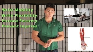 DIY Wrist Stretches Mobility  Flexibility  Pain [upl. by Marala891]