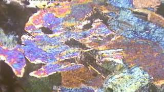 Muscovite thin section under microscope [upl. by Neelrak983]