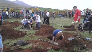 Mourne lurcher and terrier show digging competitio [upl. by Melmon]