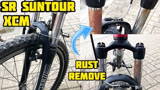 How to repair SR SUNTOUR XCM rusty fork legs [upl. by Ataymik193]