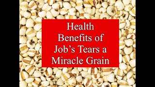 Health Benefits of Job’s Tears a Miracle Grain [upl. by Ymeraj]