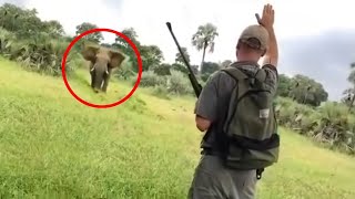 30 Times African Safari Trips Went Horribly Wrong Part 2 [upl. by Dirk]