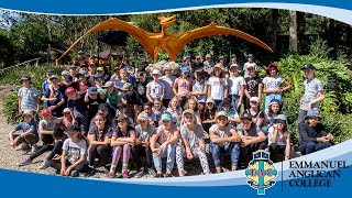 Year 7 Camp  2019  Thunderbird Park Mount Tamborine  QLD [upl. by Ecirtaed]