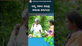 అన్ని రకాల విషపు కాటుకు విరుగుడు  Nalla Ummetta Plant youtubeshorts ayurveda sreesannidhitv [upl. by Eveivenej]