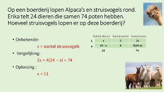 vraagstukken oplossen met vergelijkingen [upl. by Hardigg940]