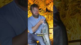 Bowfishing For Invasive Fish [upl. by Reuven130]