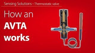 How the AVTA thermooperated water valve works  Working animation [upl. by Cornall]