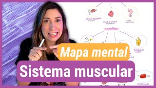 Faça um MAPA MENTAL junto comigo SISTEMA MUSCULAR [upl. by Enyaz739]