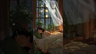 Its so relaxing to sleep on a rainy day lofi livewallpaperrain sleep [upl. by Sucramd374]