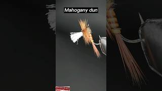 How to tie the Mahogany Dun fly pattern  Mahogany Dun flytying dryfly fishing tyingflies [upl. by Anih898]