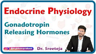 Gonadotropin Releasing Hormones  Endocrine physiology USMLE Step 1 [upl. by Neltiac]