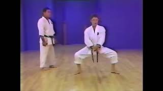 Goju ryu kata Sanseiru Teaching kata [upl. by Rasec]