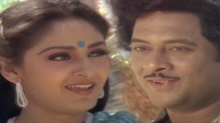 Parimalinchu Video Song  Puli Bebbuli Movie  Krishnam RajuChiranjeeviJayapradhaRadhika [upl. by Pagas178]