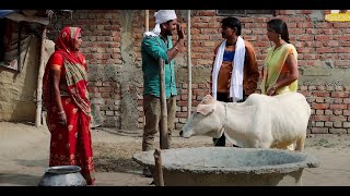 रामलालदान पुन करबाक लेल बच्छा किनलकRamlal ComedyRamlal VideoNew Maithili comedyRamlal Ki comedy [upl. by Hareehahs]