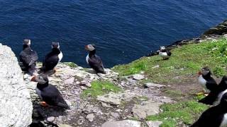 A Journey to Skellig Michael During Puffin Season [upl. by Epilihp]