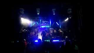 Super Grupo Caribe  El Oso Polar En Vivo [upl. by Nadirehs165]