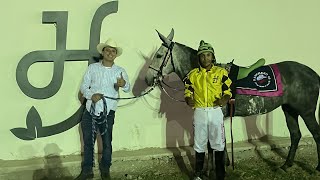 TERCIA EXTREMA DE MULAS EN FRESNO HIPÓDROMO 🔥🐴🤠 [upl. by Anilok25]