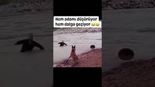 AKIL KÜPÜ😂😂 KANALIMA ABONE OLUP DESTEK VERMEYİ UNUTMAYIN CANLAR🤗 [upl. by Neit]