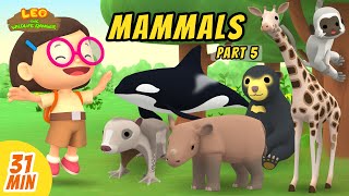 Mammals Minisode Compilation Part 55  Leo the Wildlife Ranger  Animation  For Kids [upl. by Akinar]