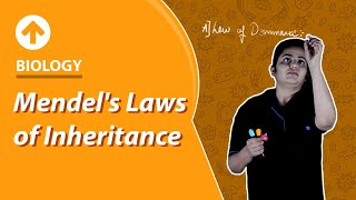 Mendels Laws of Inheritance  Biology [upl. by Idalla]