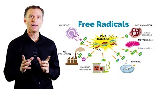 Casually Explained Free Radical amp Antioxidant [upl. by Frangos]