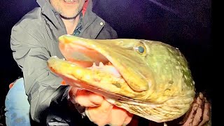 DeadBaiting for Pike on the River Waverney NorfolkSuffolk [upl. by Caldera]