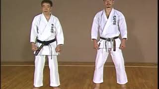 Hirokazu Kanazawa Shotokan Karate Complete Guide 2 [upl. by Doowyah490]