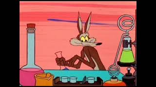 1960s Wile E Coyote and Roadrunner Theme [upl. by Sherfield]