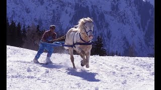 Skijoring  The Incredible Horse Skiing Sport [upl. by Eerdna]