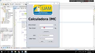 Calculadora Imc En JavaNetBeans Código [upl. by Aicatsue]