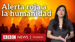 5 revelaciones del informe de la ONU sobre cambio climático y qué dice sobre América Latina [upl. by Bernat]