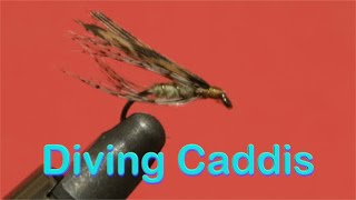 Beginners Fly Tying Series  Original Patterns The Diving Caddis [upl. by Auohs]