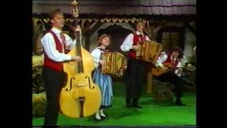 HD Erich Moser Ensemble  Ein walzer fur Harmonika [upl. by Mixie]