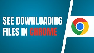 How To See Downloading Files In Chrome [upl. by Eimarej799]