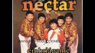 Corazoncito  Grupo Nectar [upl. by Orapma291]