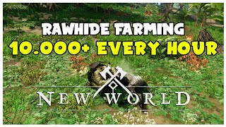 Best Rawhide Farming Spot 10000 Every Hour  New World Guide [upl. by Ahmed445]