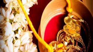 Tirunelveli SaivaPillai Matrimony Brides Grooms Profiles திருநெல்வேலி சைவப்பிள்ளை திருமண தகவல் மையம் [upl. by Philip]