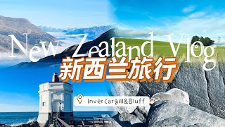 🇳🇿New Zealand VLOG｜南岛自驾第四站InvercargillampBluff｜去往新西兰最南端的城市与小镇｜皇后镇超市购物｜徒步偶遇野生小海豹 [upl. by Aryas]