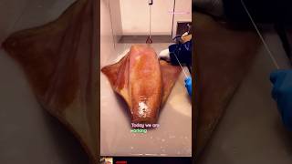 🦑 Giant Squid Skin Peeling Process  ASMR Calamari Prep squid cuttlefish calamar short trending [upl. by Aicats]