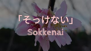 RADWIMPS「️そっけない」Sokkenai【Covered by Aorta】 [upl. by Ajnos58]