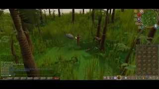 How to catch a barb tailed kebbit on runescape [upl. by Hastie728]