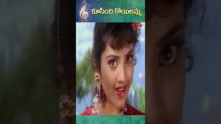 కూసింది కోయిలమ్మ  Venkatesh  Meena  Abbayigaru Movie Songs shorts youtubeshorts ytshortsindia [upl. by Nigem197]