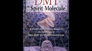 Episode 40  Dr Rick Strassman  DMT The Spirit Molecule [upl. by Rhu116]