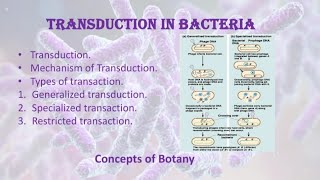 Transduction in bacteria Types of transduction HindiUrdu Concepts of Botany [upl. by Ursulette]